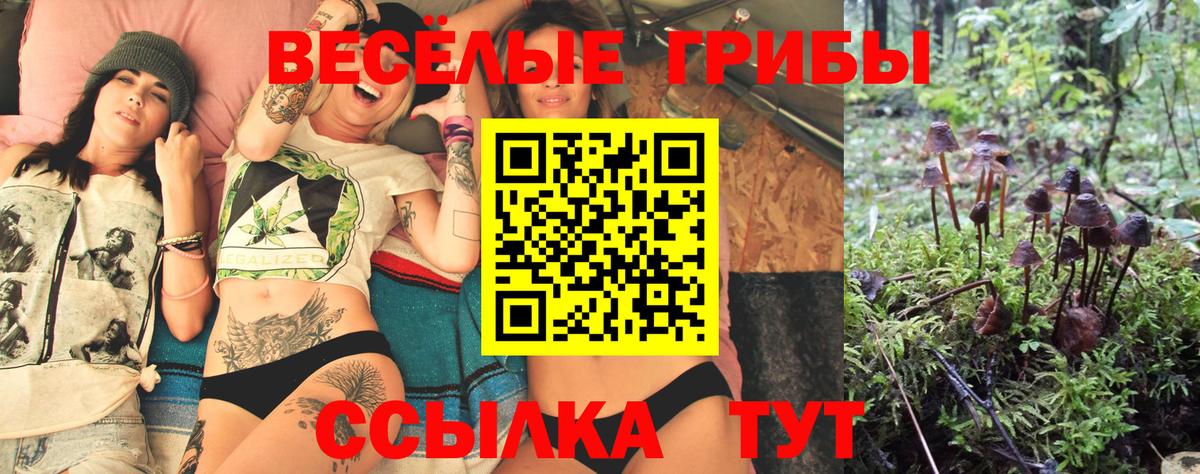Галлюциногенные грибы прущие грибы Нарткала
